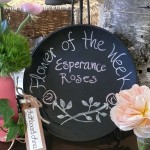 Chalkboard China at La Fleur Vintage